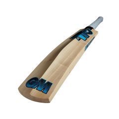 GM 101 Diamond Cricket Bat