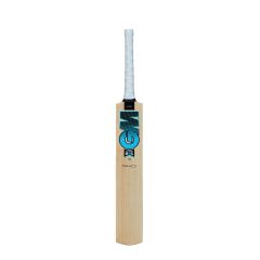 GM 101 Diamond Cricket Bat