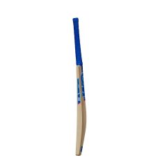 GM SIREN KASHMIR CRICKET BAT - Harrow