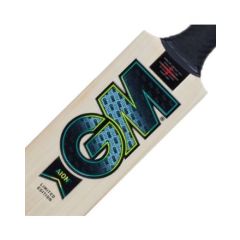 GM Aion Cricket Bat